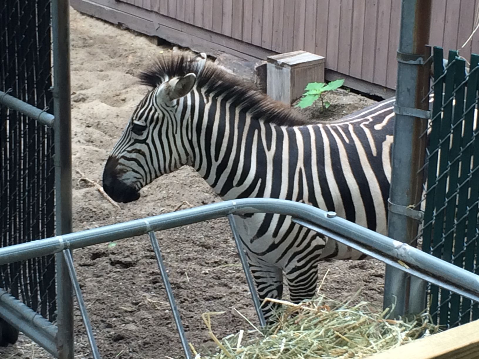 Washington Park Zoo